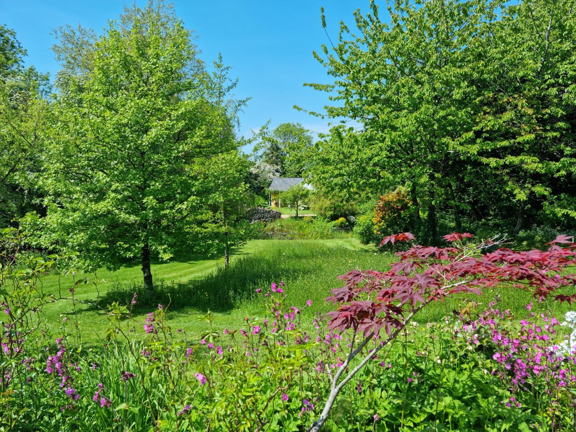 Hotel Glyndwr Vineyard Cowbridge Exteriér fotografie