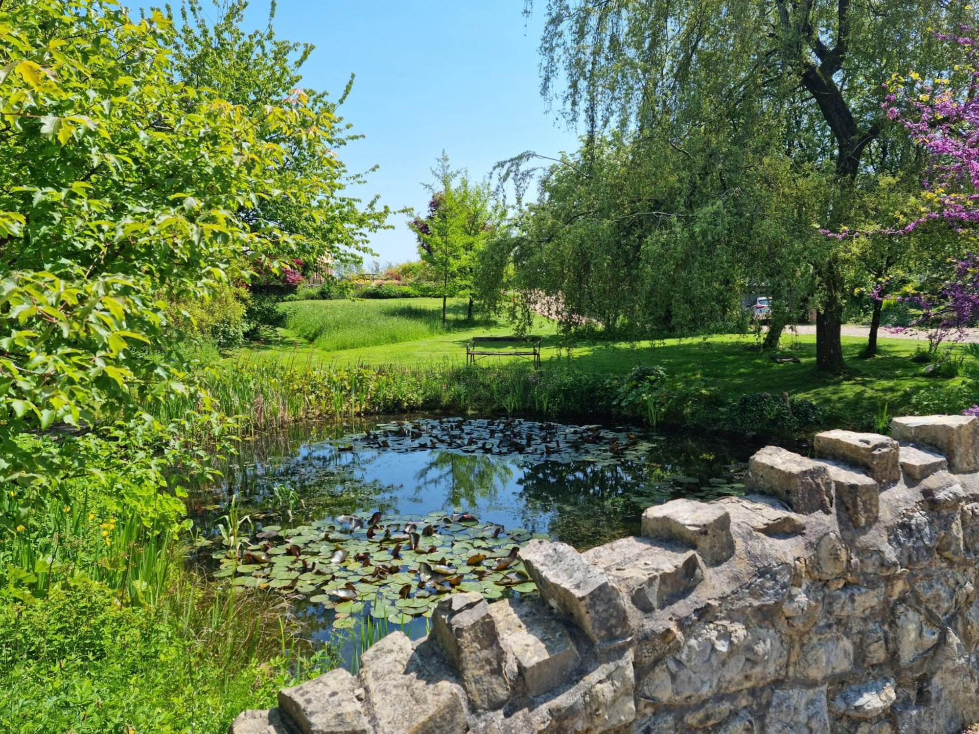 Hotel Glyndwr Vineyard Cowbridge Exteriér fotografie